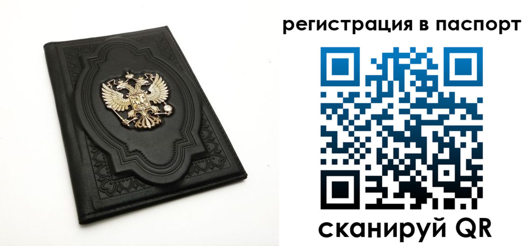 прописка регистрация в Владимирской области