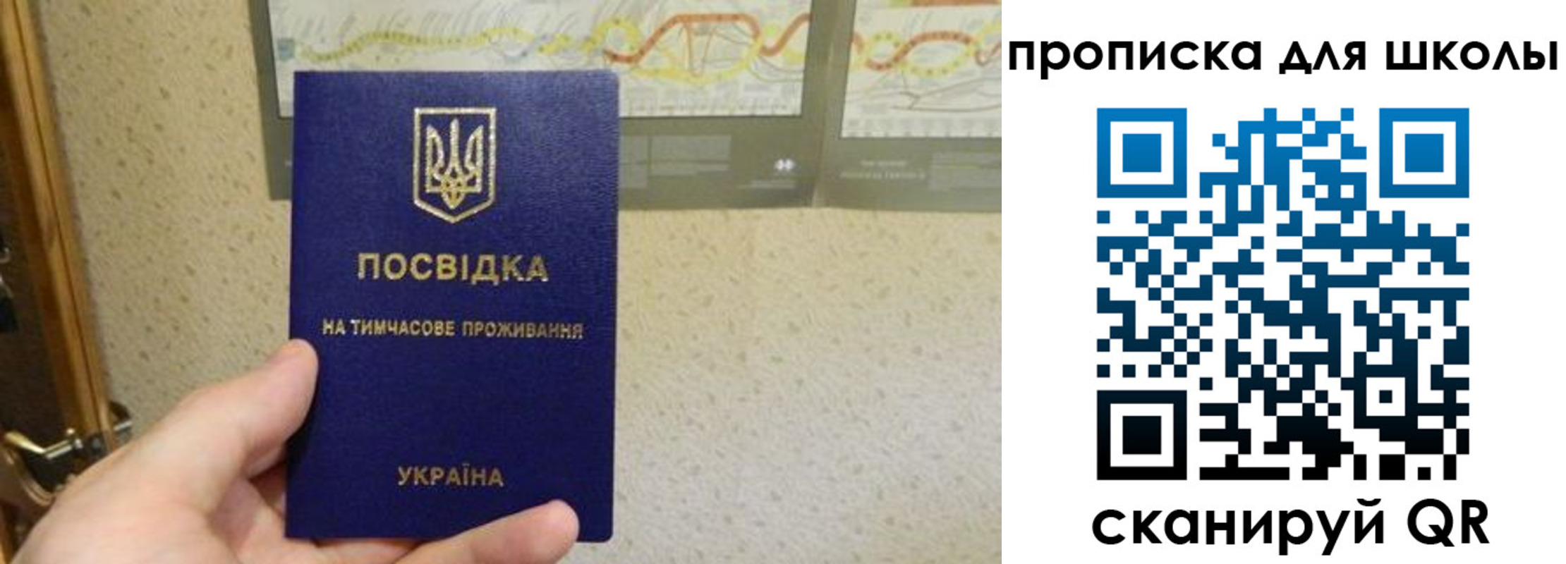 найти адрес прописки в Владимирской области